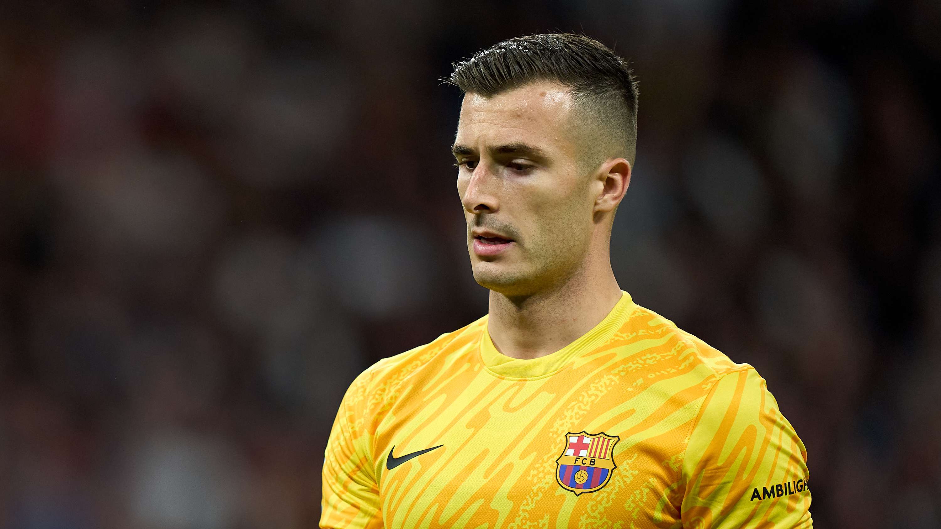 不仅证明了 不仅证明了